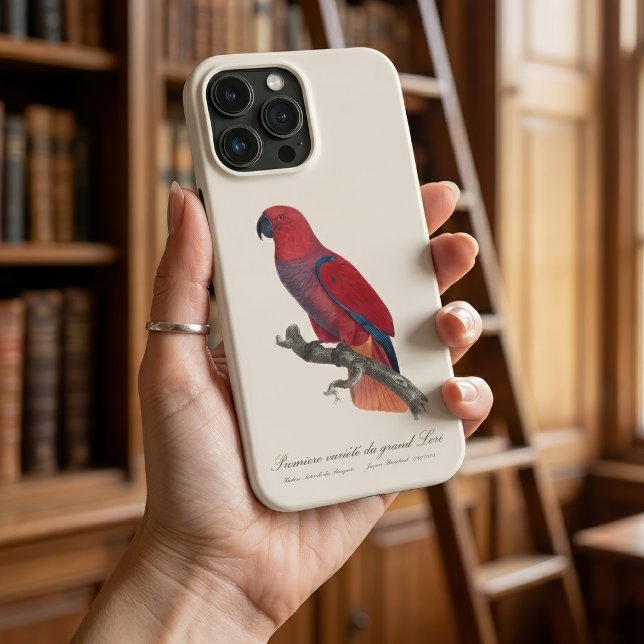 Vosmaer Eclectus Parrot, Eclectus Roratus Vosmaeri (Vosmaer Eclectus Parrot, Eclectus Roratus Vosmaeri. iPhone Case)