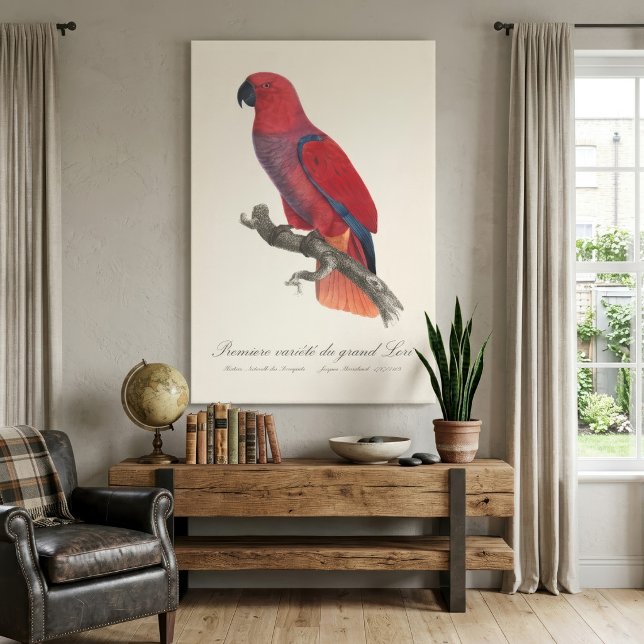 Vosmaers eklektus, Eclectus roratus vosmaeri Canvastryck (Vosmaer Eclectus Parrot, Eclectus Roratus Vosmaeri. Canvas Print)