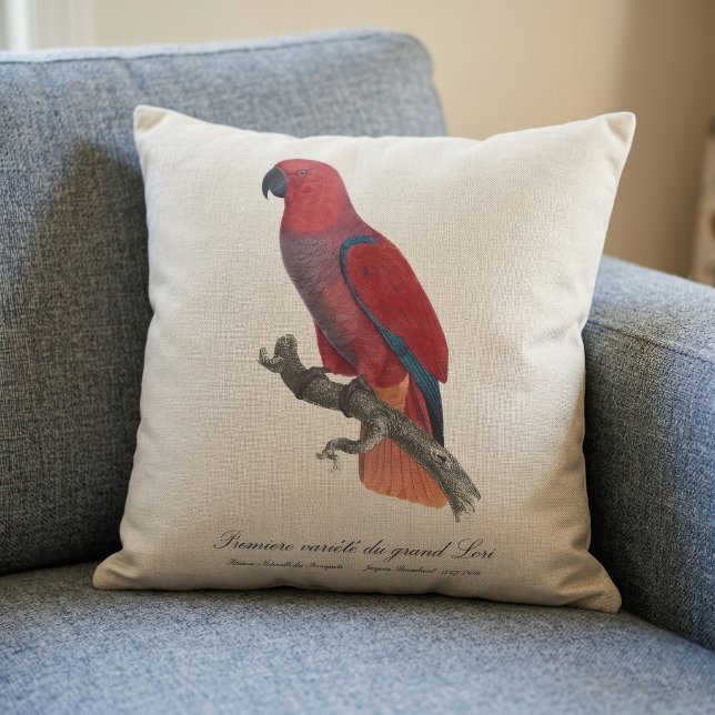 Vosmaers eklektus, Eclectus roratus vosmaeri Kudde (Vosmaer Eclectus Parrot, Eclectus Roratus Vosmaeri. Throw Pillow )