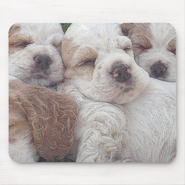 Vovve Musmatta (Framsidan)