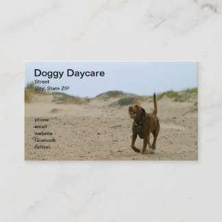 VovveDaycare Visitkort