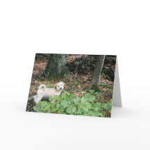 Vovvefödelsedagkort