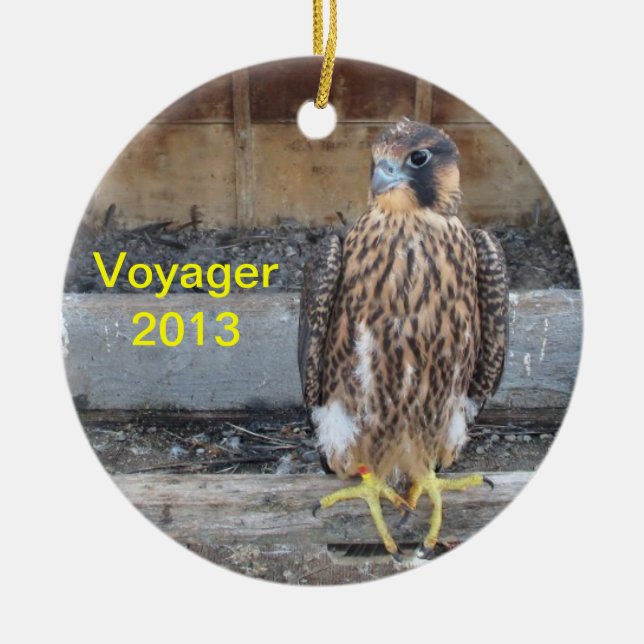 Voyagerprydnad 2013 julgransprydnad keramik (Framsidan)