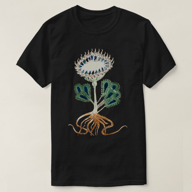 Voynich Manuscript Plant Illustration 1 T Shirt (Design framsida)