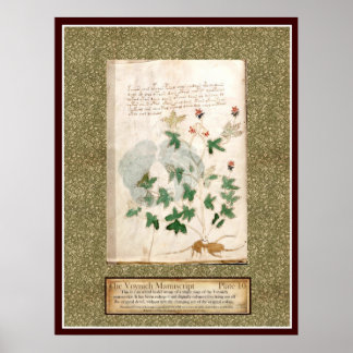 Voynich Plate 10 Poster