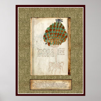 Voynich Plate 22 Poster
