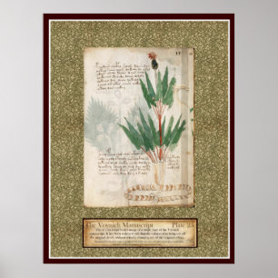 Voynich pläterar 25 poster