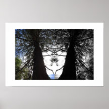 Vridna grenar Yosemite Reflexionsfotografi