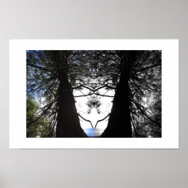 Vridna grenar Yosemite Reflexionsfotografi Poster