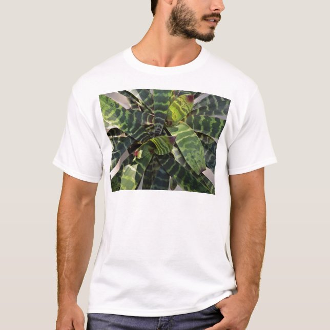 Vriesea Splendens Bromeliad växt görade randig löv Tee (Framsida)