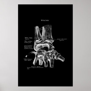 Vrist Anatomiskt medicinskt Poster ortopedisk deka