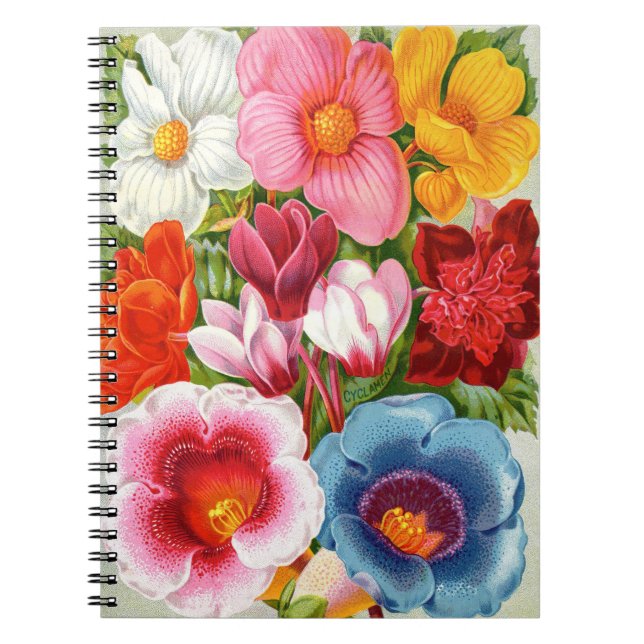 VTG Botanias Begonias & Gloxinias Spiral Notebook Anteckningsbok (Framsidan)