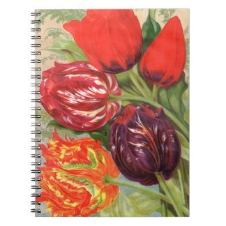 VTG Botaniska tulips - bärbar dator Anteckningsbok