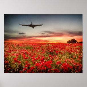 Vulcan-slutflygning Poster