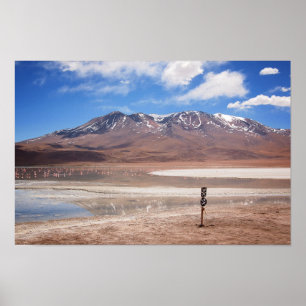 Vulkan i en Altiplano landskap affischen Poster