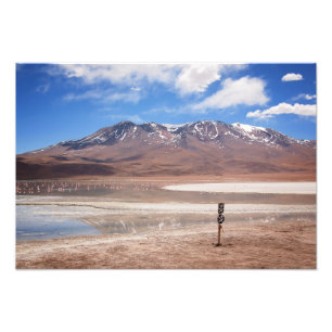 Vulkan i en Altiplano landskap fototrycket Fototryck