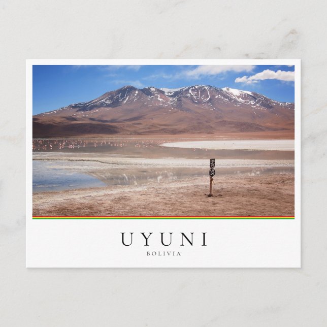 Vulkan i ett altiplano-landskap, Uyuni, Bolivia Vykort (Framsida)