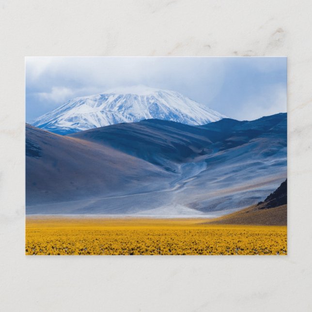 Vulkan Incahuasi, Argentina Vykort (Framsida)