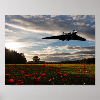 Vulkanhistorik Poster