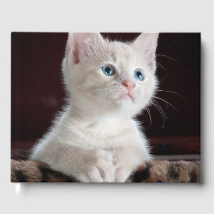 Vulnerable White Kitten Gästböcker