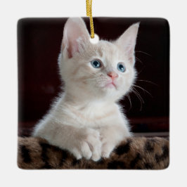 Vulnerable White Kitten Julgransprydnad Keramik