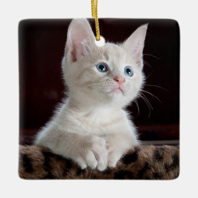 Vulnerable White Kitten Julgransprydnad Keramik (Framsida)