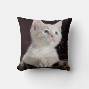 Vulnerable White Kitten Kudde
