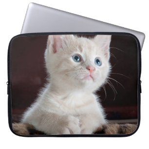 Vulnerable White Kitten Laptop Fodral