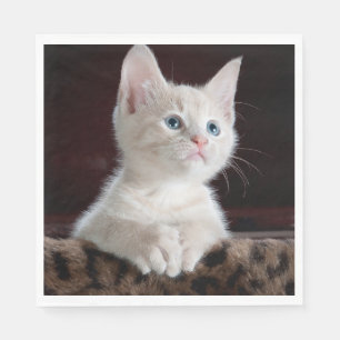 Vulnerable White Kitten Pappersservett