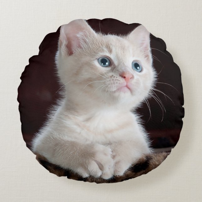 Vulnerable White Kitten Rund Kudde (Framsidan)