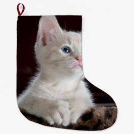 Vulnerable White Kitten Stor Julstrumpa