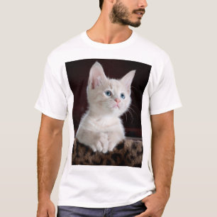 Vulnerable White Kitten T Shirt