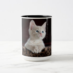 Vulnerable White Kitten Två-Tonad Mugg