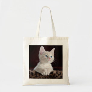 Vulnerable White Kitten Tygkasse