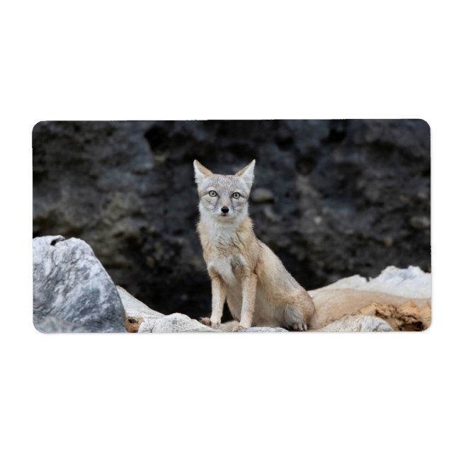 Vulpes corsac fraktsedel (Framsidan)