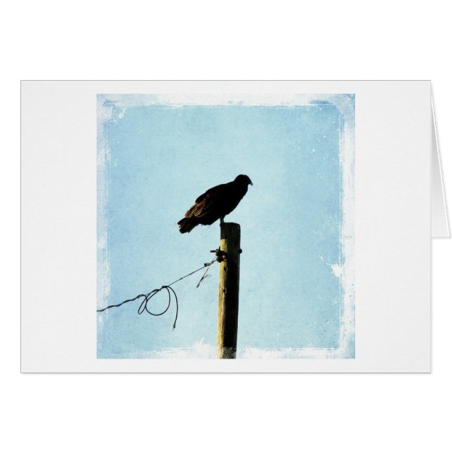 Vultur Hälsningskort (Framsidan Horizontal)