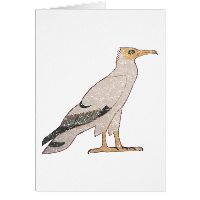 Vultur Hälsningskort (Framsidan)