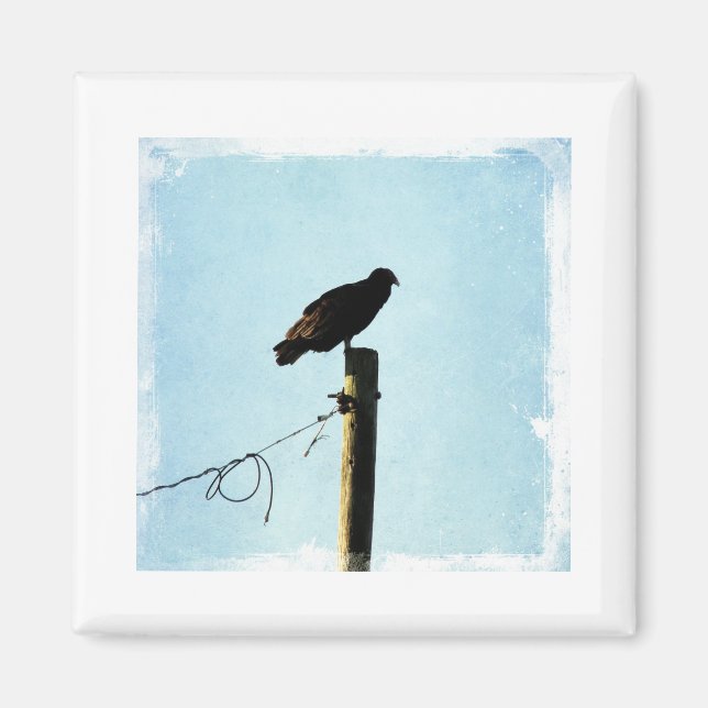 Vultur Magnet (Framsidan)