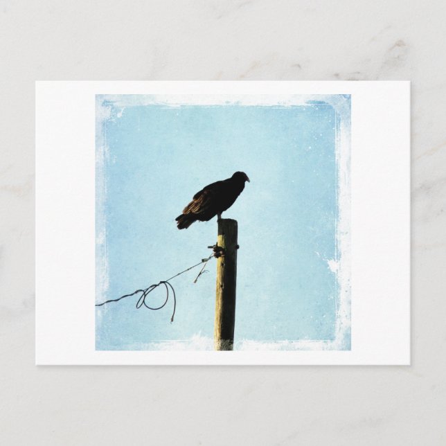 Vultur Vykort (Framsida)