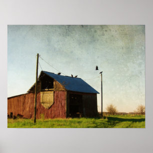 Vulturerna och Barn Poster