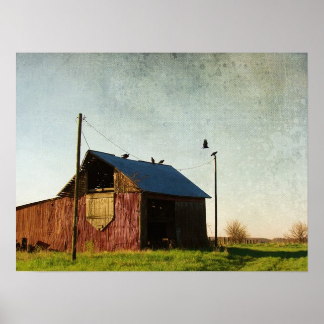 Vulturerna och Barn Poster (Framsidan)