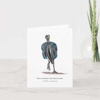 Vulturin Guineafowl-mappat anteckningskort