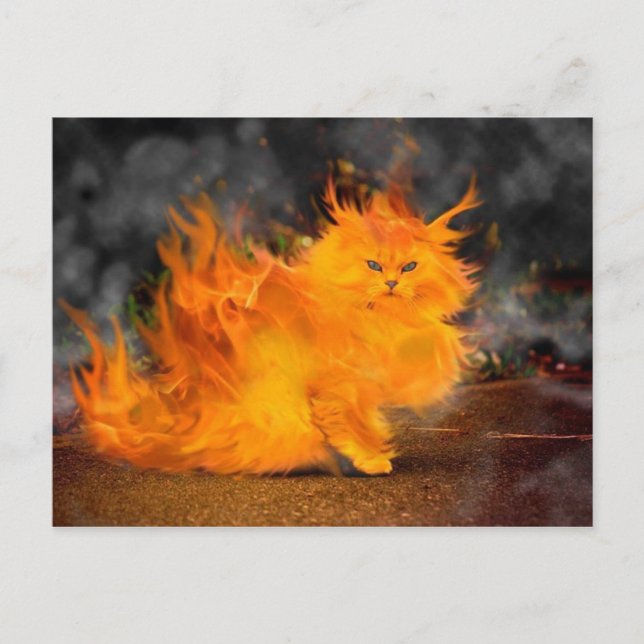 vuur kat vykort (Framsida)