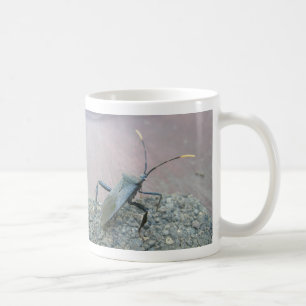 Vuxen Black Assasin Kryp (Reduviid) objekt Kaffemugg
