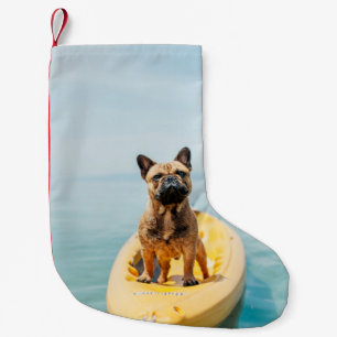 Vuxen brun Fransk bulldog på kajak Liten Julstrumpa