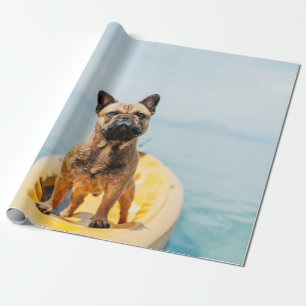 Vuxen brun Fransk bulldog på kajak Presentpapper