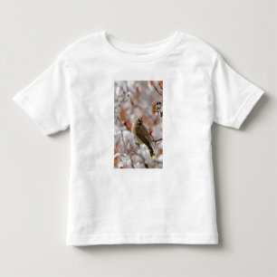 Vuxen Ceder Sidensvans på hagtorn med snö, T-shirt