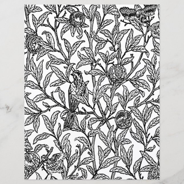 Vuxen Coloring Page, Morris Bird & Pomegranate (Framsida)