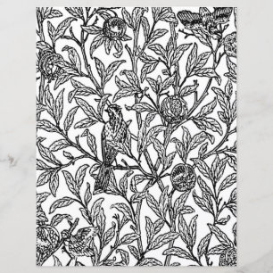 Vuxen Coloring Page, Morris Bird & Pomegranate