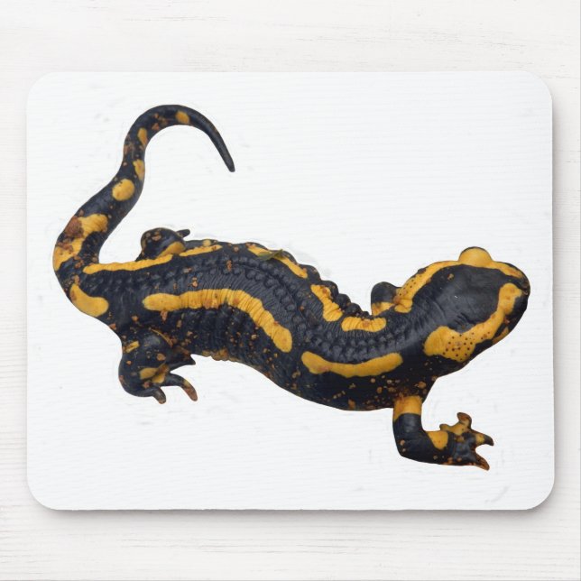 Vuxen eldsalamander musmattor (Framsidan)